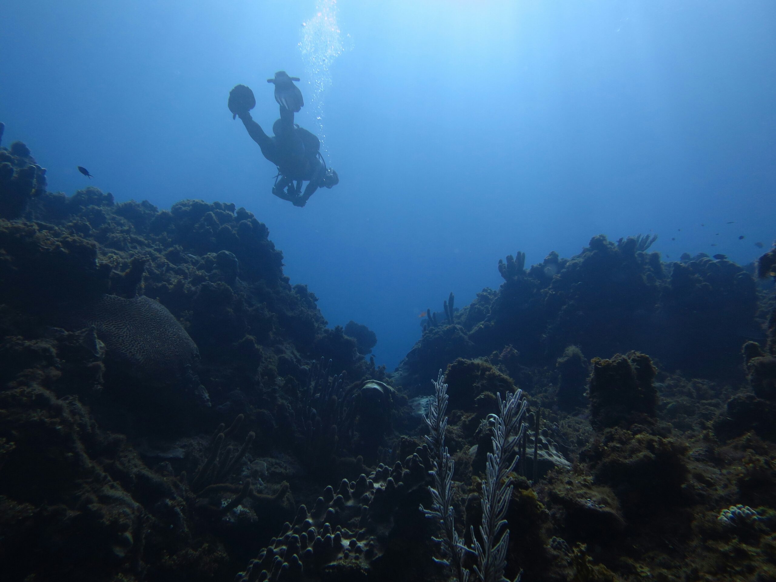 Top Dive Spots Around the World for Unmatched Underwater Thrills