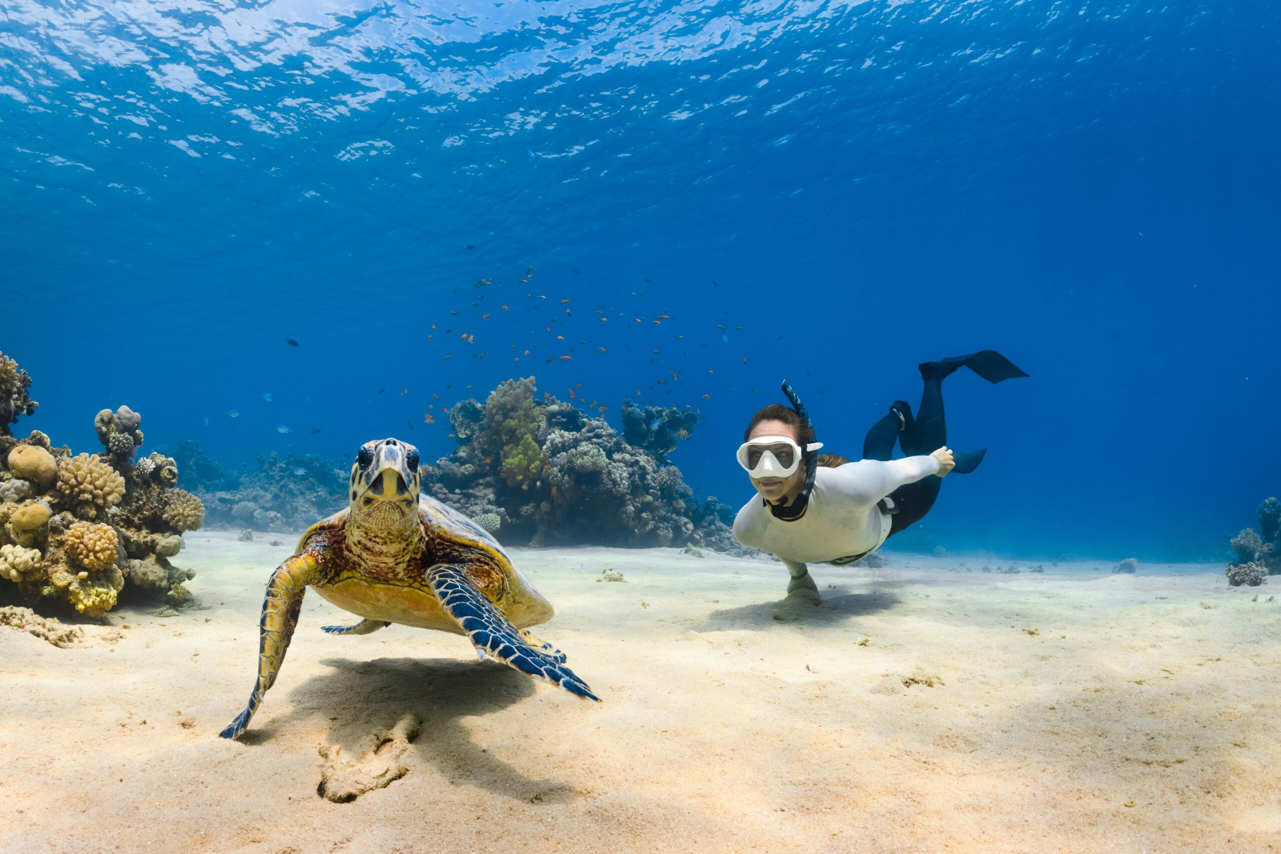 Unforgettable Underwater Adventures: Dive Into the World’s Most Stunning Hidden Gems